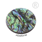 QMN-A - Quoins Precious abalone shell QMN-A